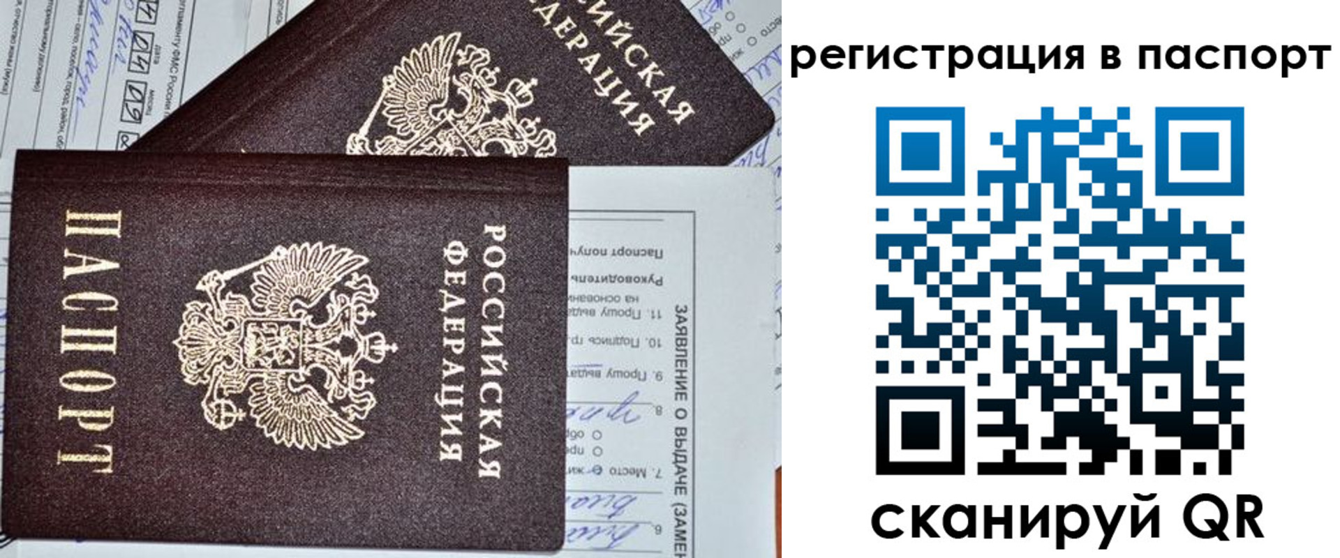прописка законно в Куровском